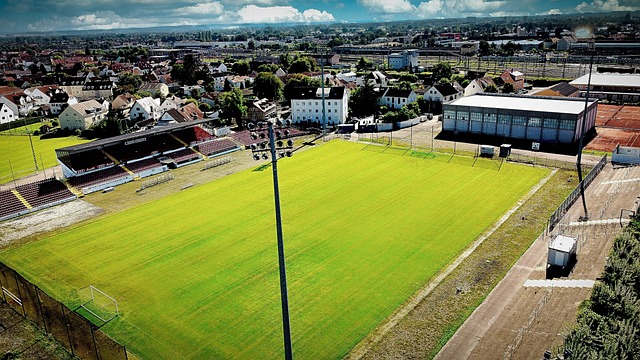 其他案例分 其他案例分