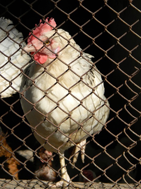 若巴黎不支付姆巴佩5500万欠款，可能被禁止引援.