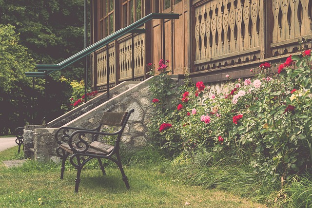 从巴西心理学家到美国说唱明星的“有史以来最伟大的战斗卡”的摇摆.