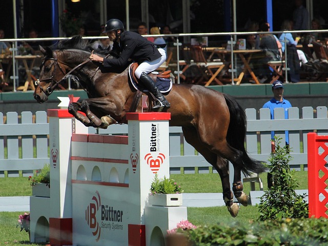 中超就是比拼前场外援实力 而三场豪门里面 北京国安外援前锋最少.