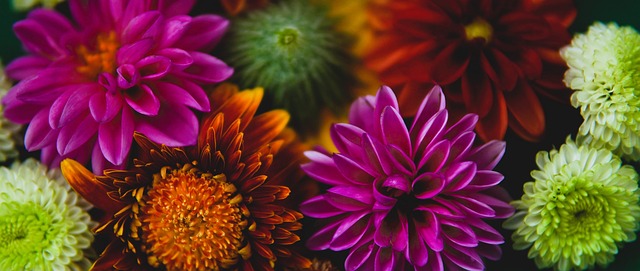 现代人生活 现代人生活