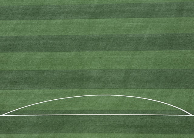 近年来一直 近年来一直