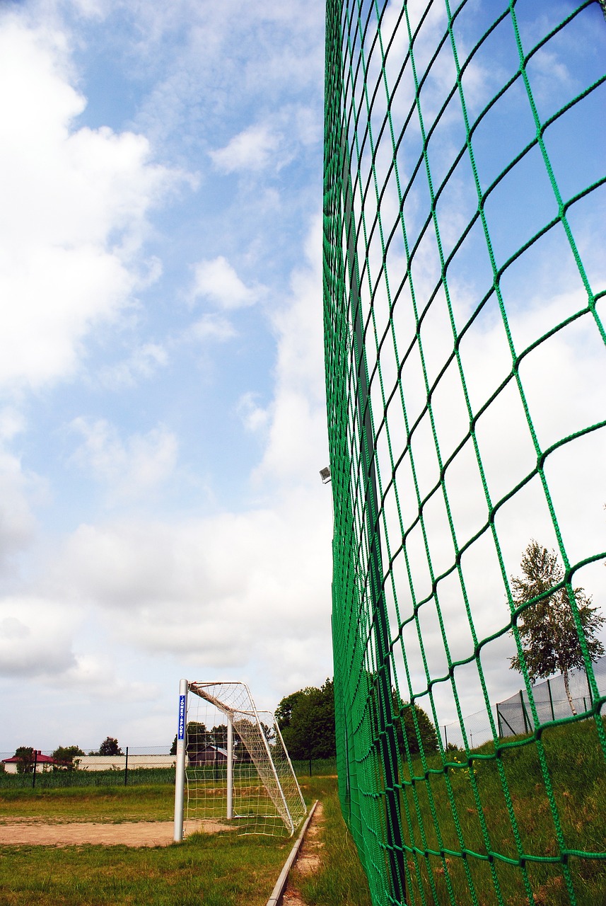 凝聚世人 启迪世界——2024年国际体育十大新闻解读.