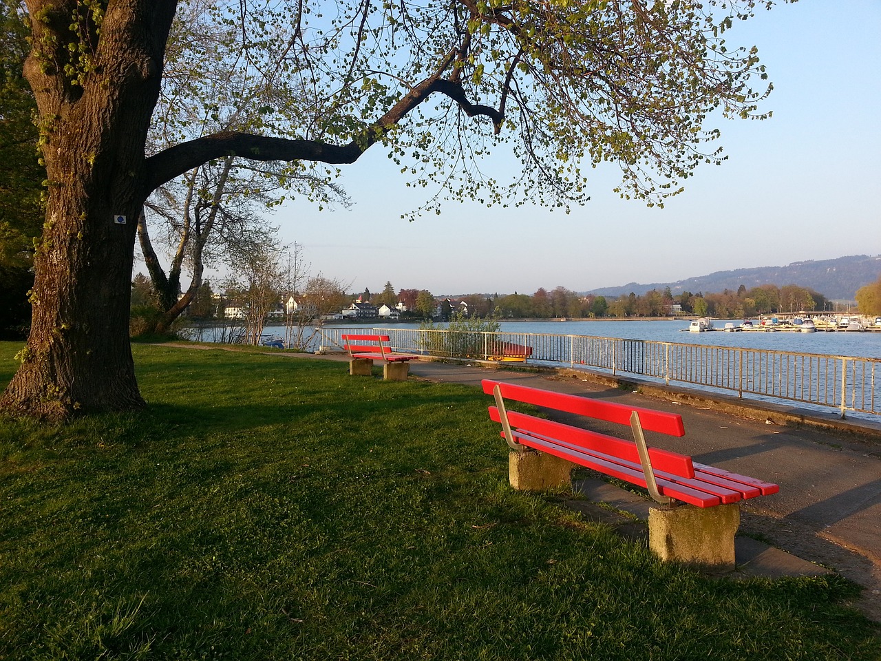 科斯塔库塔：我能理解特奥的感受，但愚蠢行为是不可接受的.